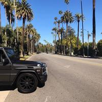 Отзыв от Расул - DTV виза